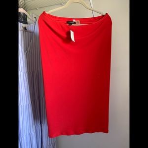Ann Taylor Bodycon Pencil Skirt